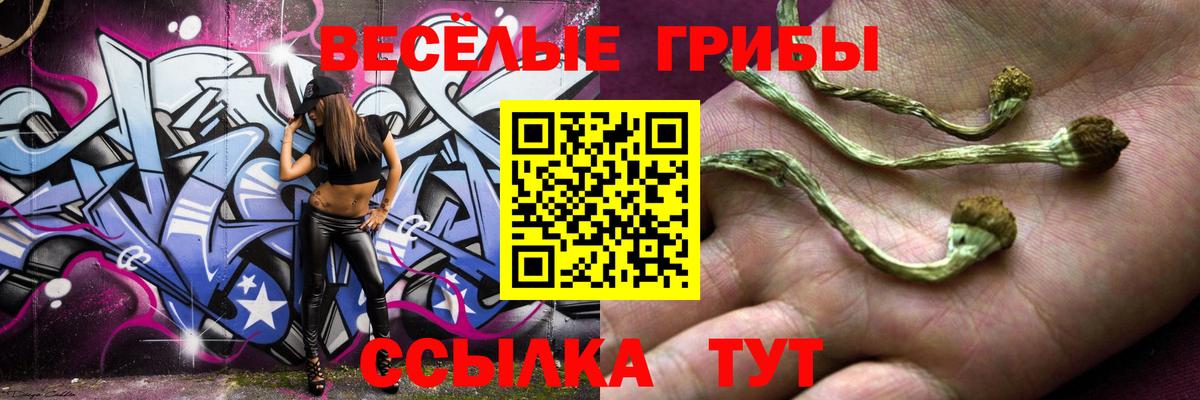 Майский  Галлюциногенные грибы GOLDEN TEACHER  Вход с VPN 