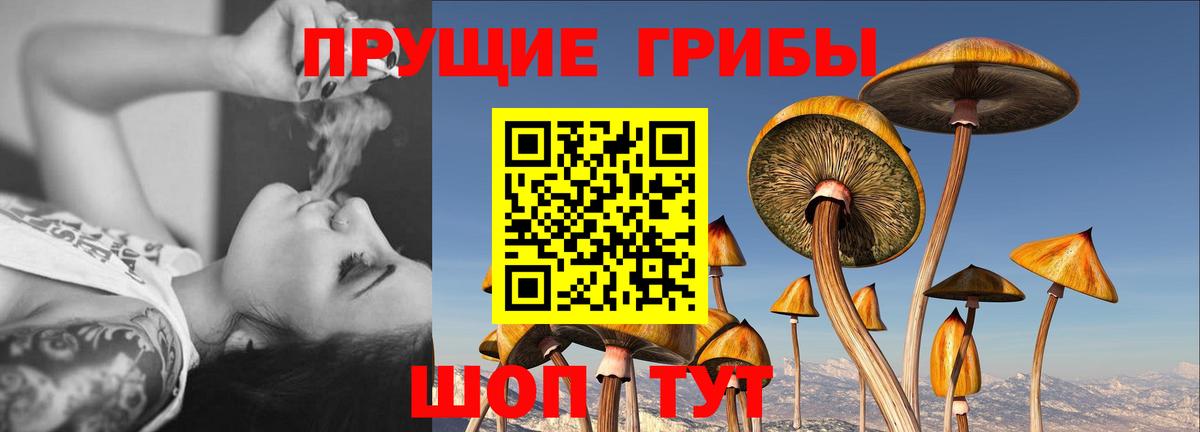 Галлюциногенные грибы ЛСД Майский